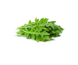 Rucola