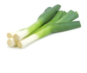 Porée